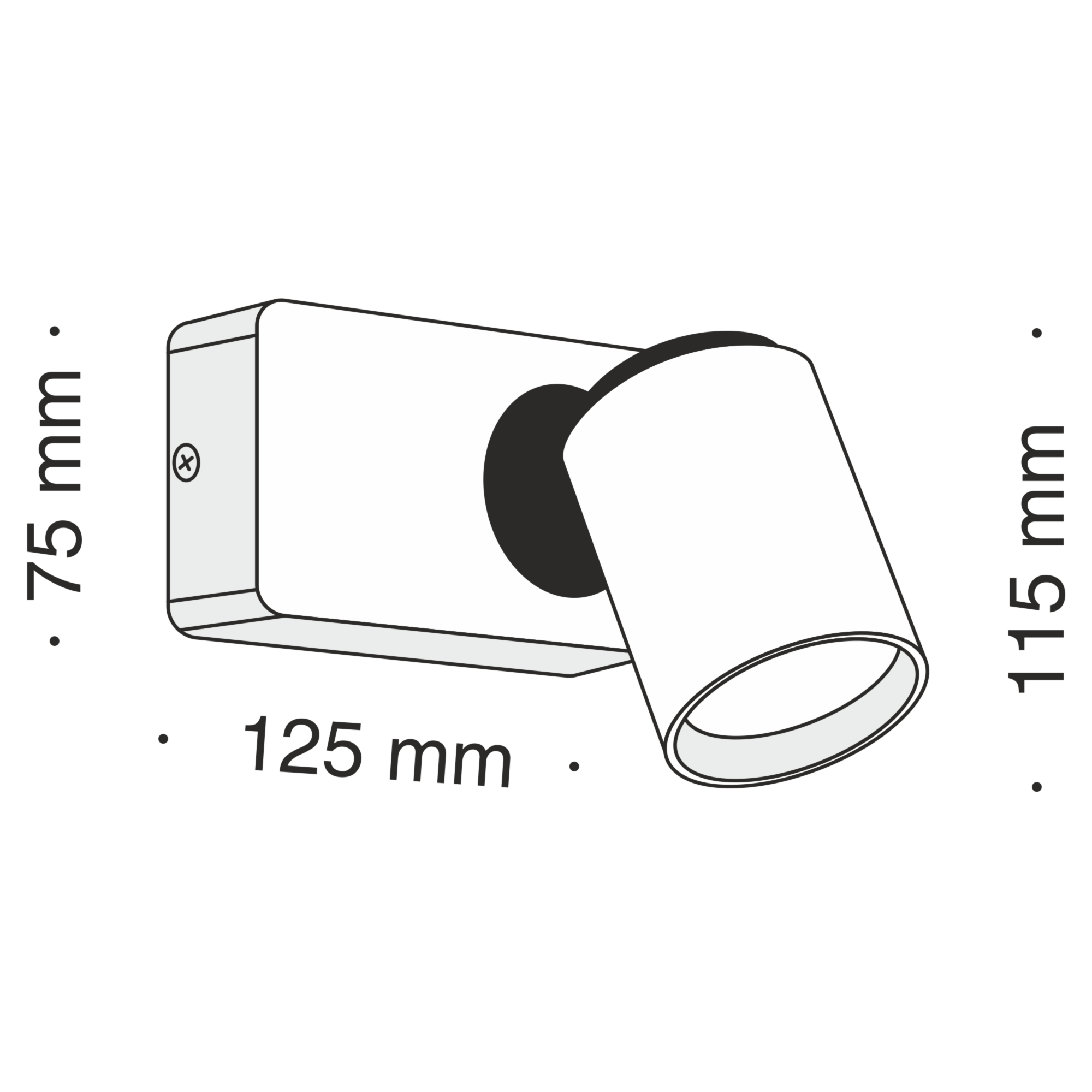 Спот Maytoni SP317-CW-01-W