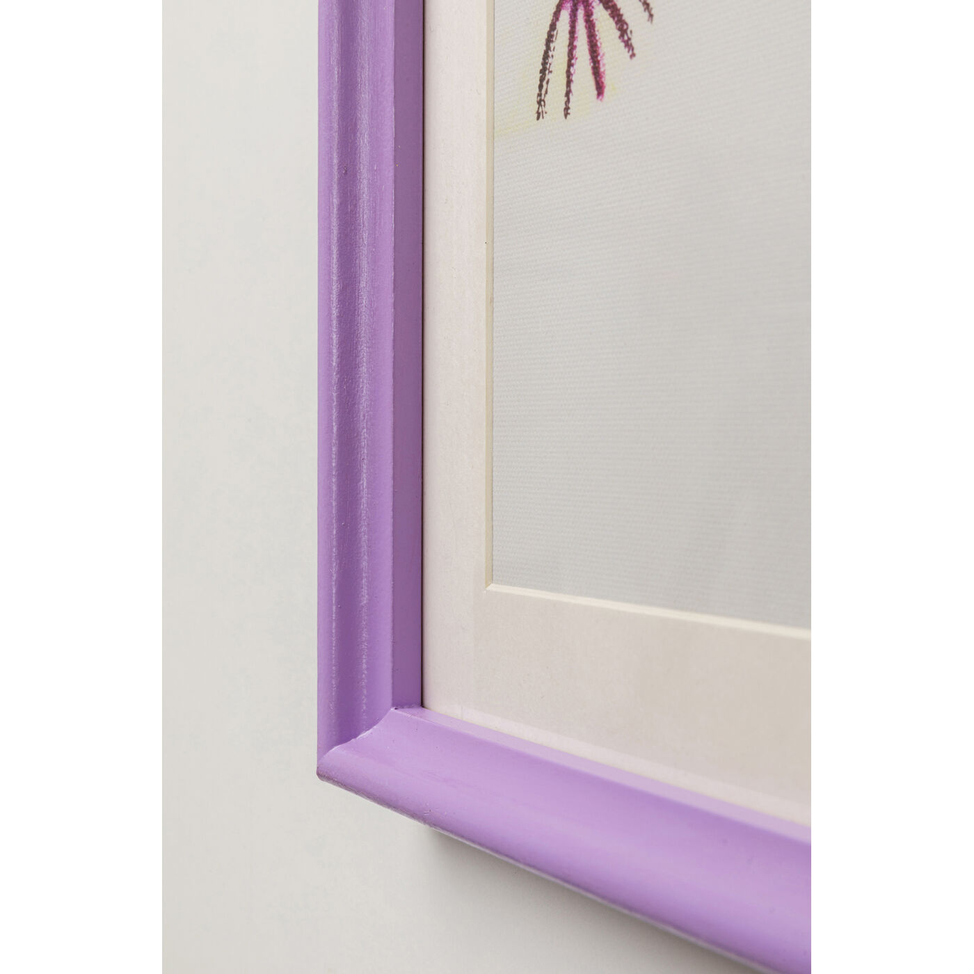 Картина в раме Fantasy Pet 32x42cm (2/Set) KARE 57734