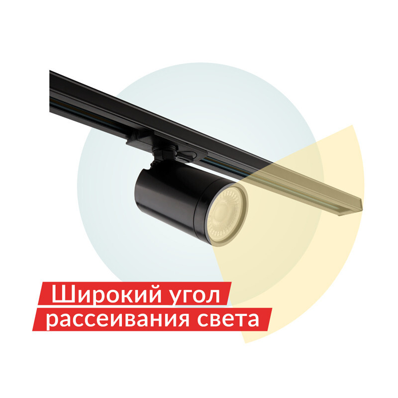 Светильник на шине Denkirs DK6501-BK