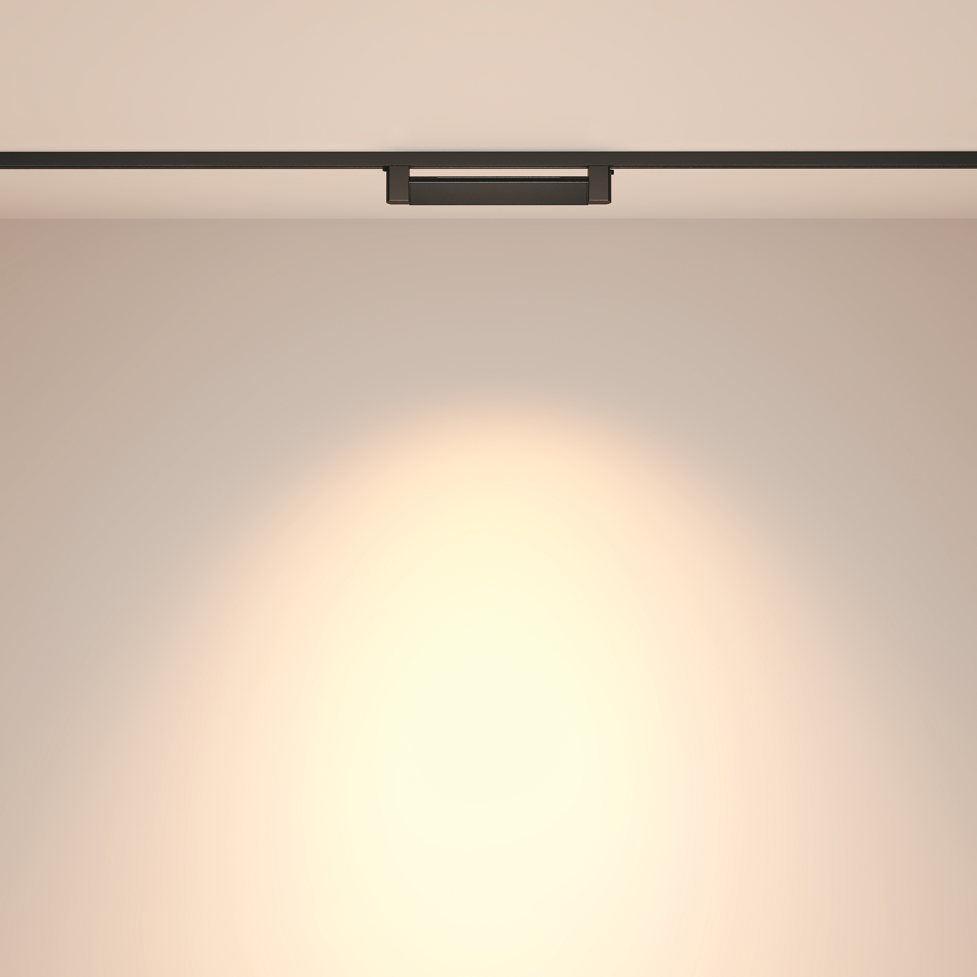 Трековый светильник Technical TR010-1-10W3K-M-B