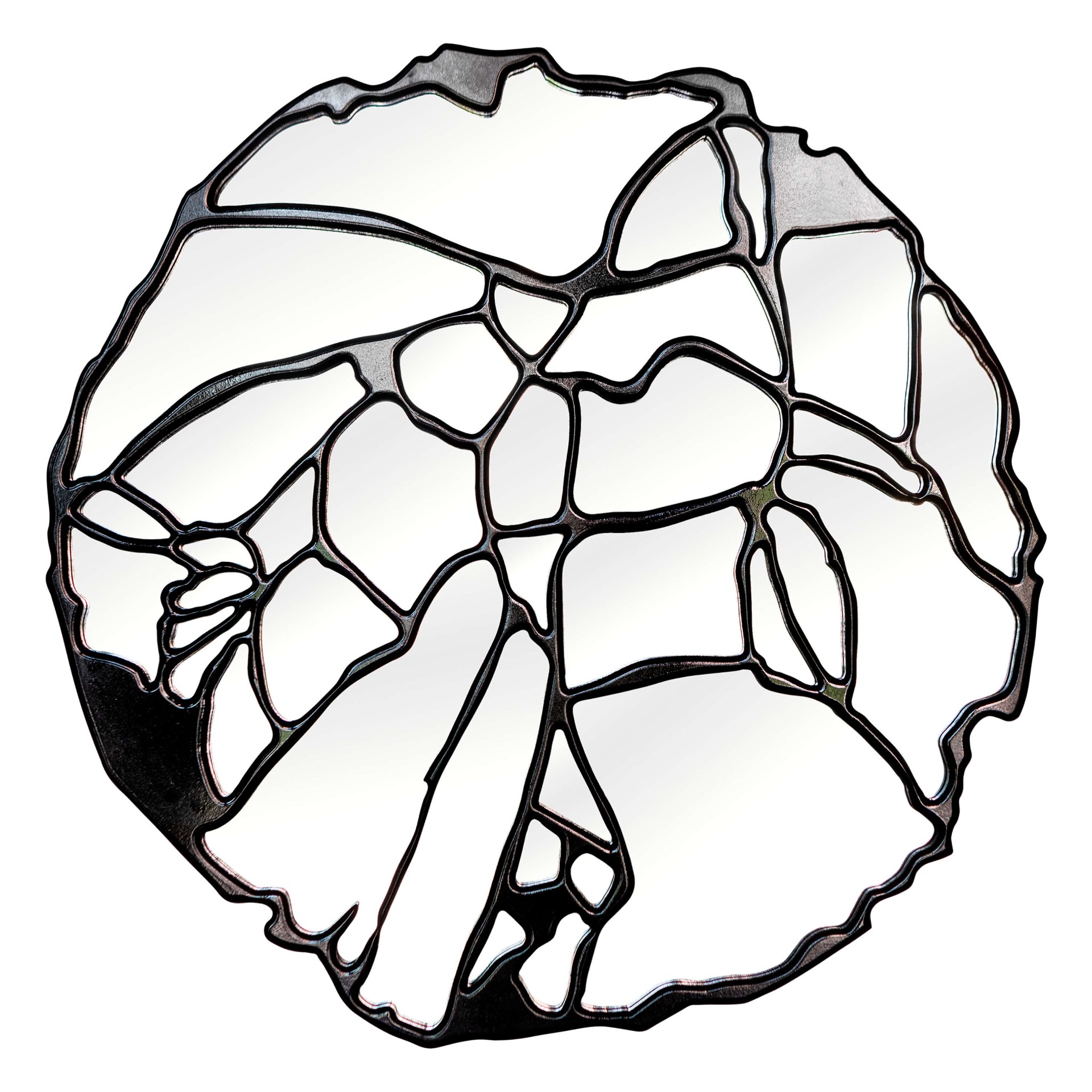 Зеркало BountyHome Roots Black mv412-black