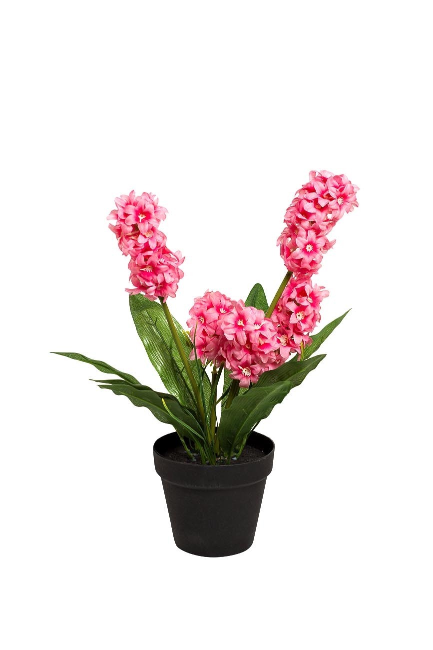 Гиацинт розовый в горшке Garda Decor 8J-K0013/1