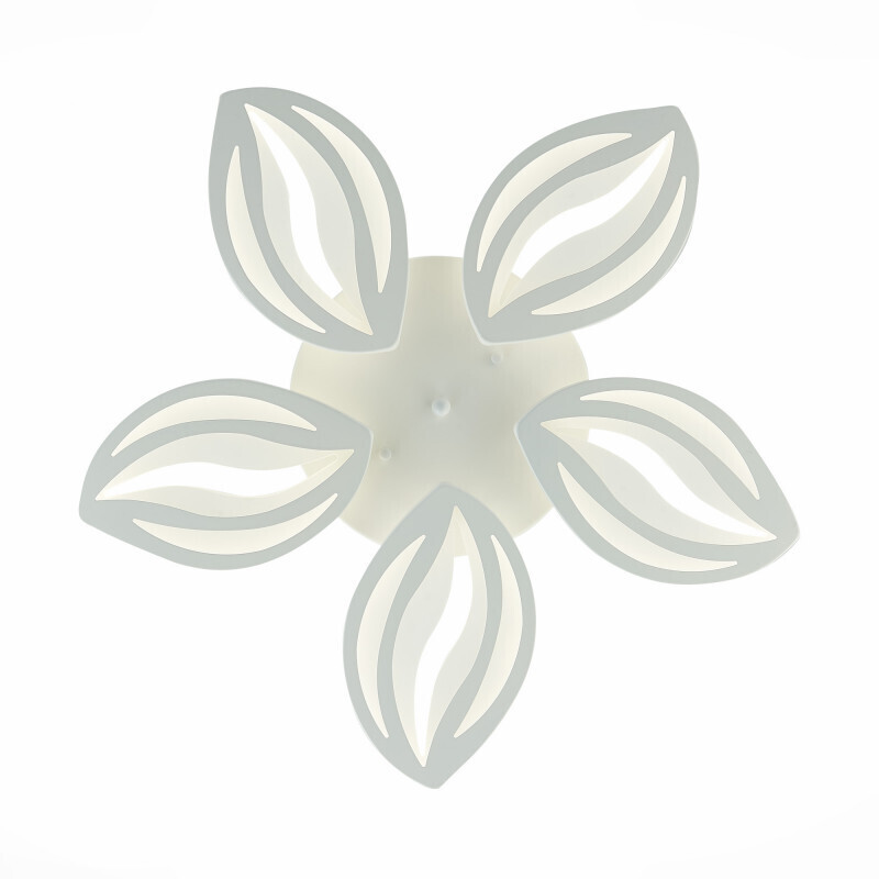 Накладная люстра EVOLED SLE501352-05