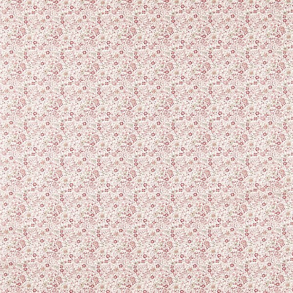 Текстиль Clarke &amp; Clarke Indira F1811/01
