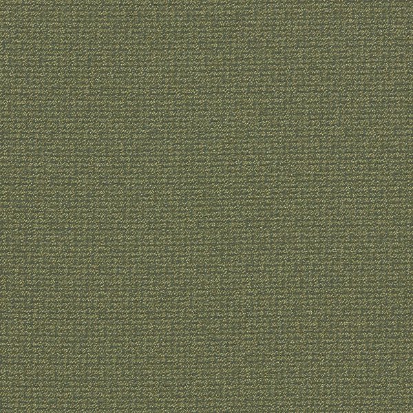 Текстиль Clarke &amp; Clarke Burlington F1569/05