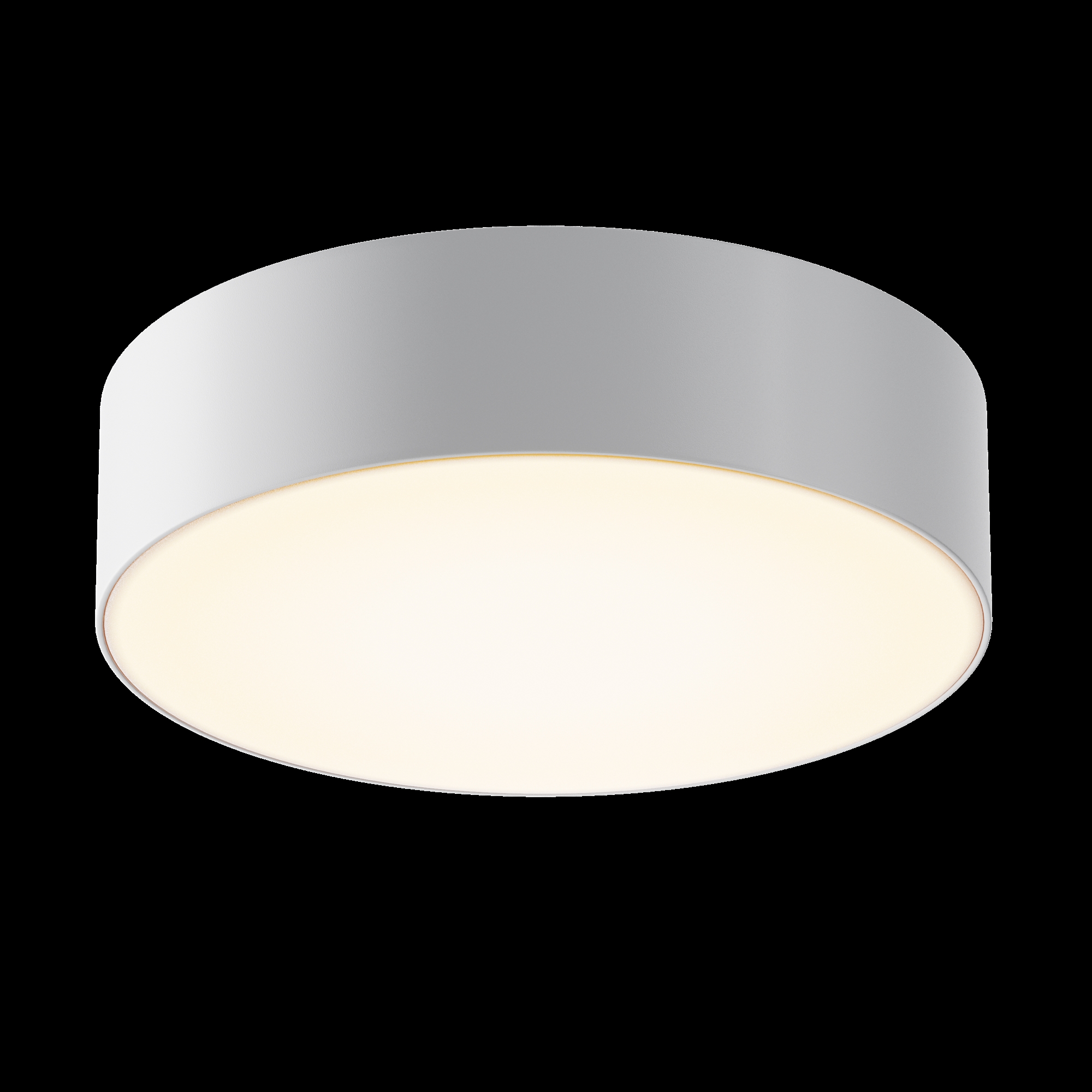 Потолочный светильник Outdoor O431CL-L30W3K