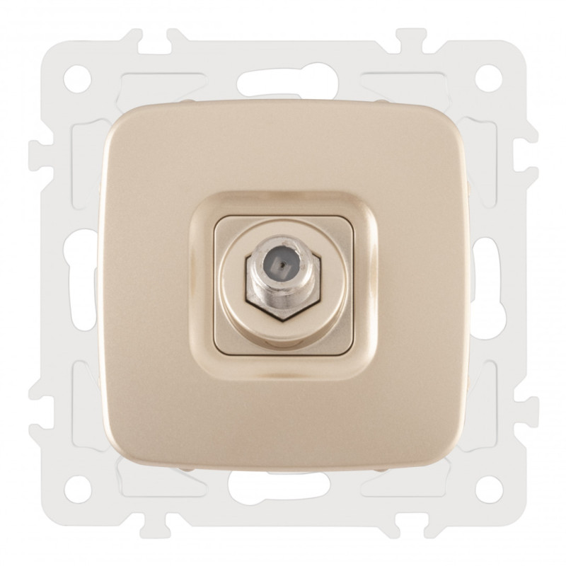 Розетка Arte Milano 205.42-1.shampan