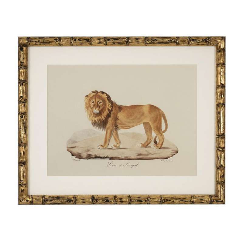 Постер Eichholtz Lion 111745