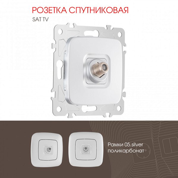 Розетка Arte Milano 205.42-1.silver