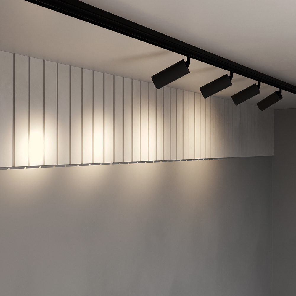 Трековый светильник Maytoni TR032-2-20W3K-S-B