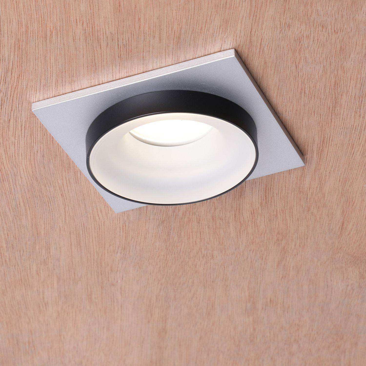 Встраиваемый светильник Favourite 2889-1C