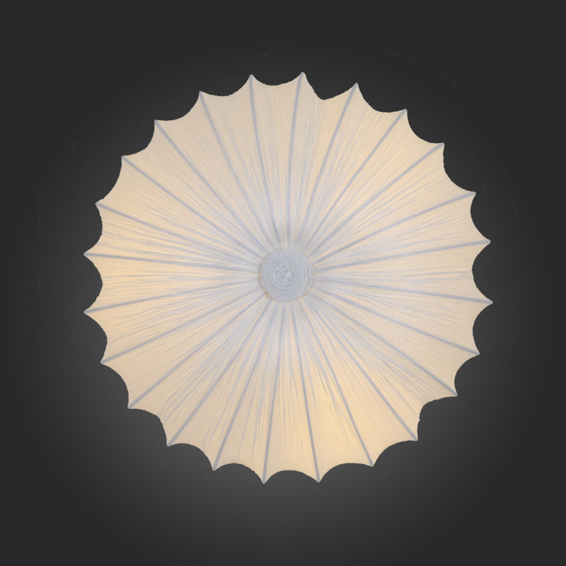 Накладной светильник ST Luce SL351.052.05