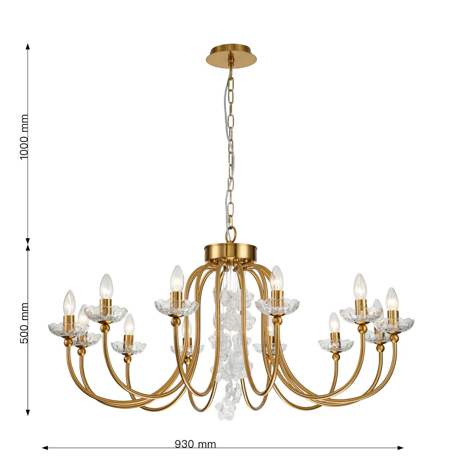 Люстра Favourite 2871-12P