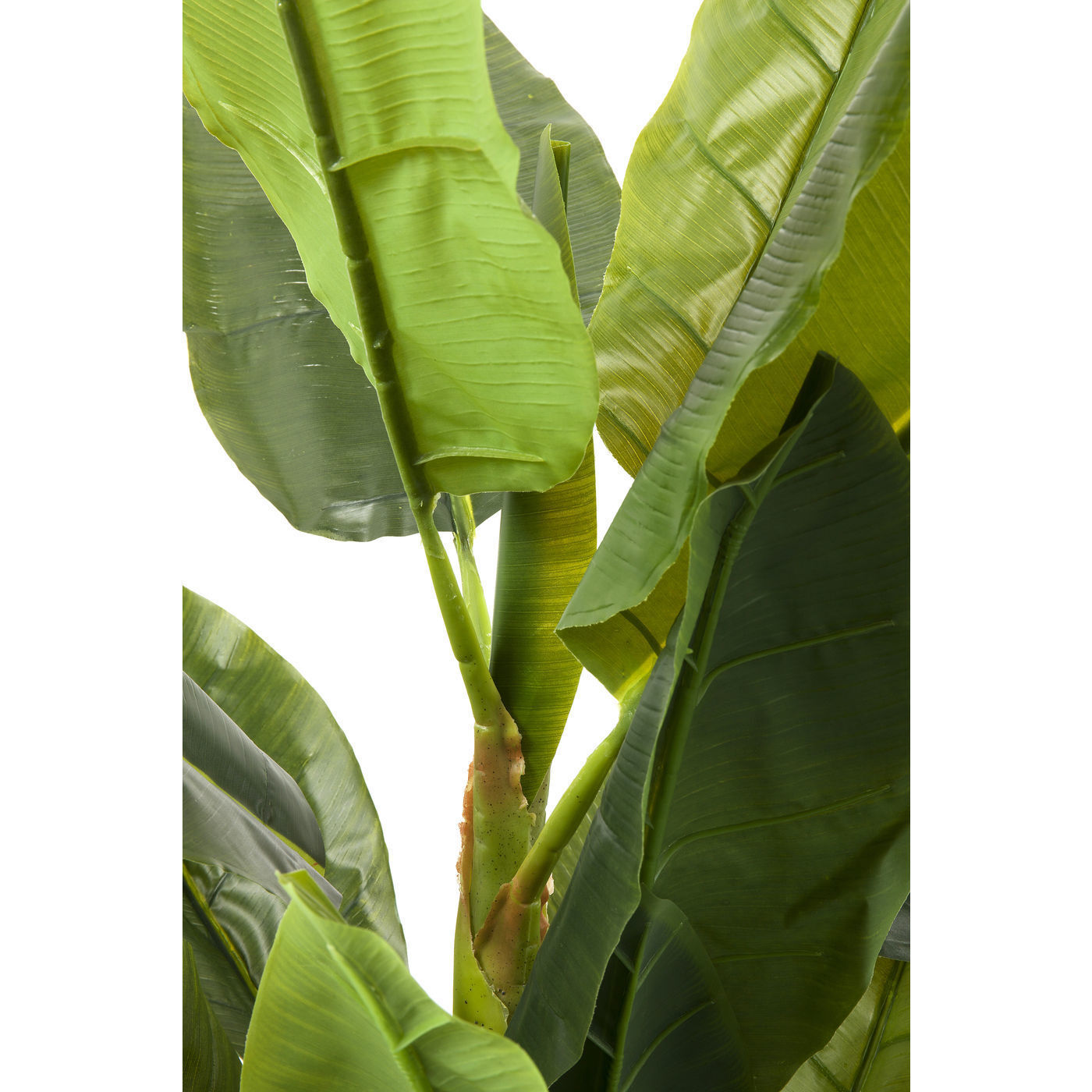 Предмет декоративный Banana Tree 64003 KARE