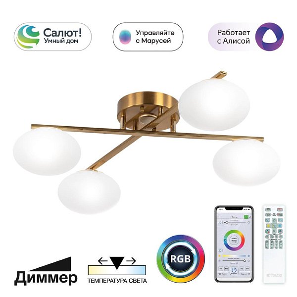 Накладная люстра Citilux CL226A143