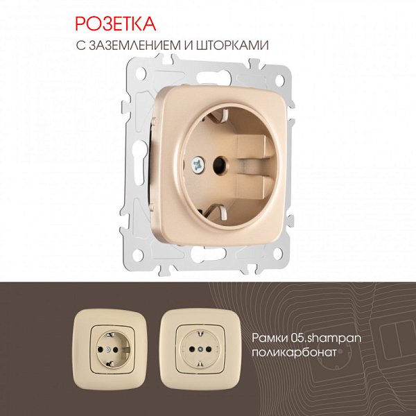 Розетка Arte Milano 205.40-1.shampan