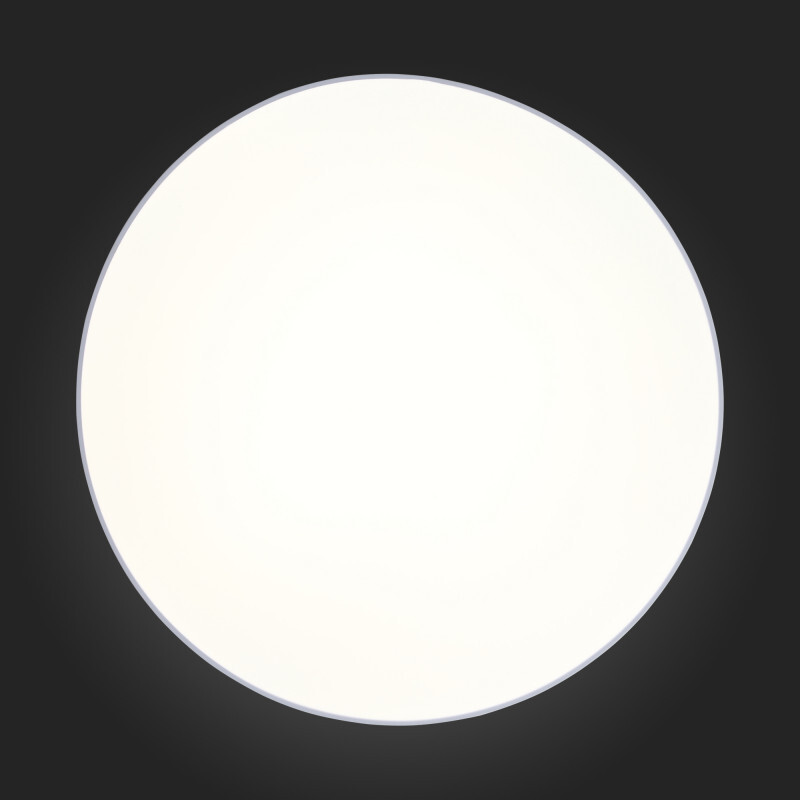 Накладной светильник ST Luce SL417.512.01