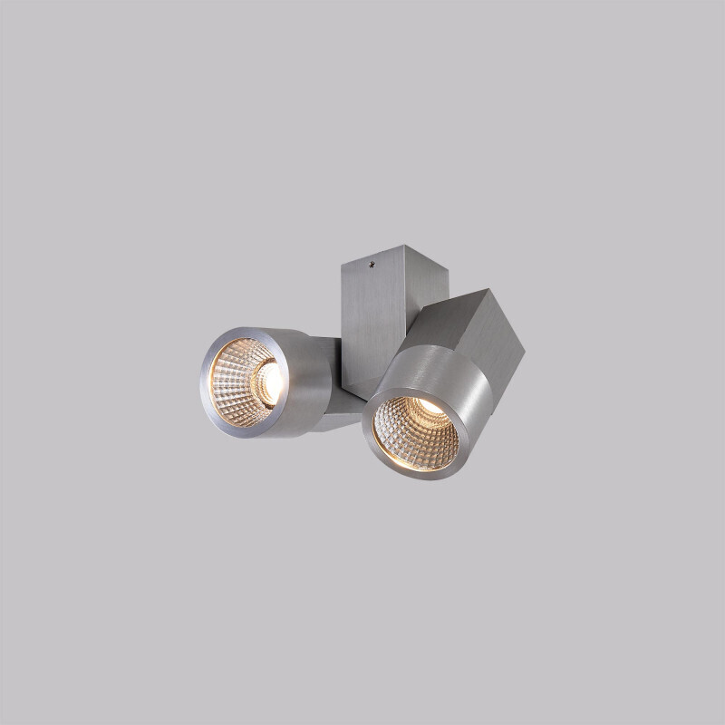 Спот Citilux CL556101