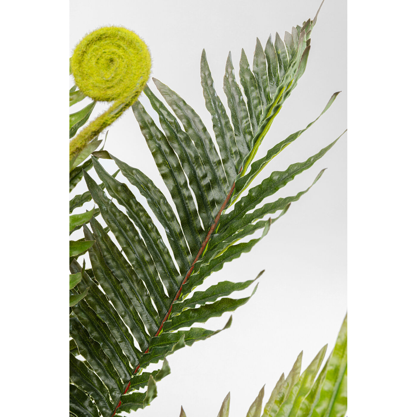 Растение декоративное Farn 55 см KARE 55911