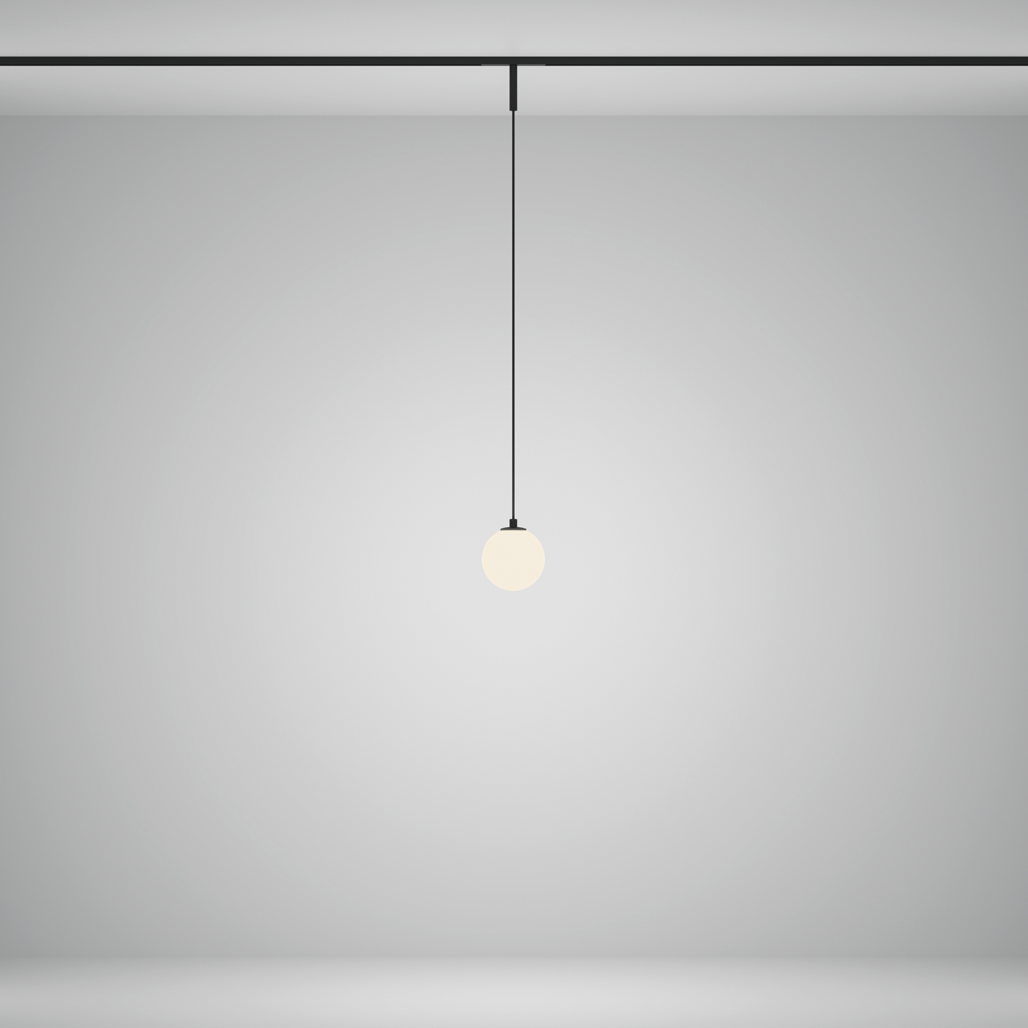 Трековый подвесной светильник Technical TR178-1-5WTW-B