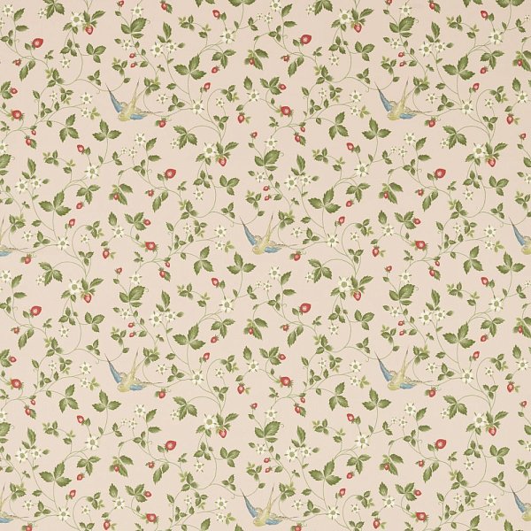 Текстиль Clarke &amp; Clarke Botanical Wonders Fabric F1606/01