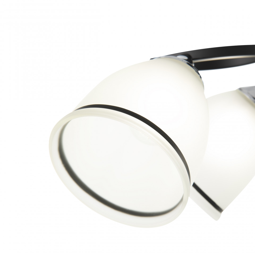 Люстра с плафонами 325885/5A BK+CR Arte Milano