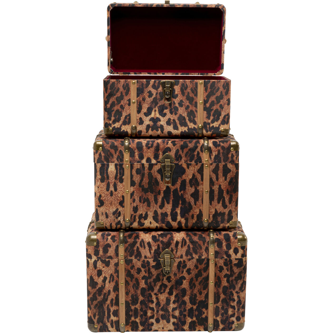 Шкатулка Wild Animal Leo (3/Set) KARE 71236