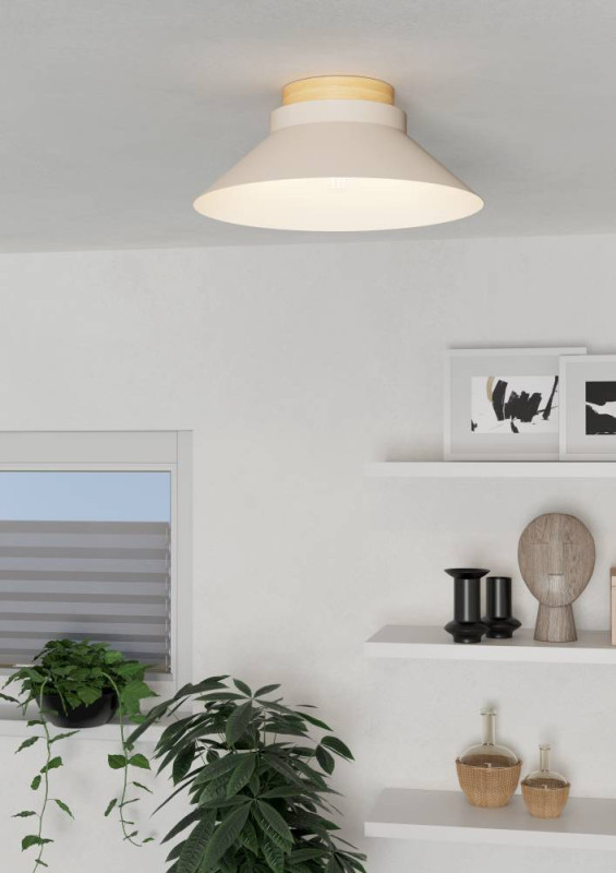 Накладной светильник EGLO 900736