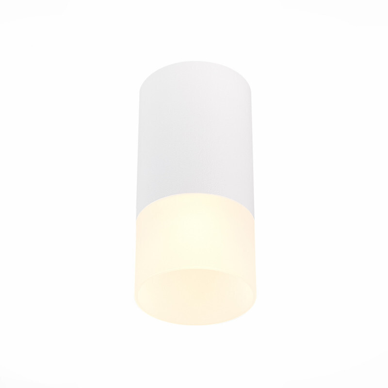 Накладной светильник ST-Luce ST100.512.01