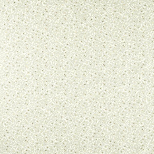 Текстиль Clarke &amp; Clarke Indira F1808/03