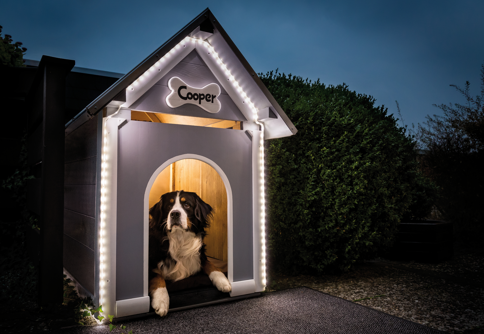 Лента светодиодная Paulmann 70419