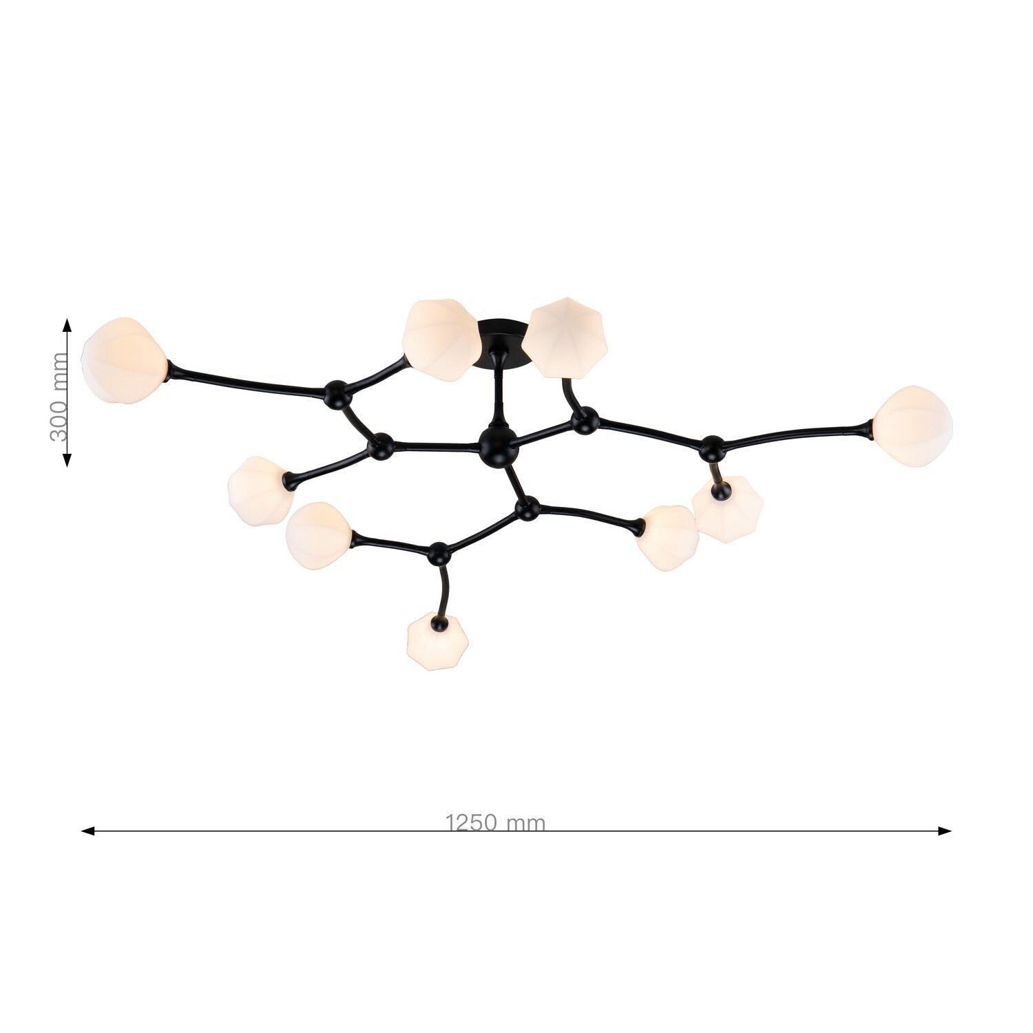 Потолочный светильник Favourite 2688-9P