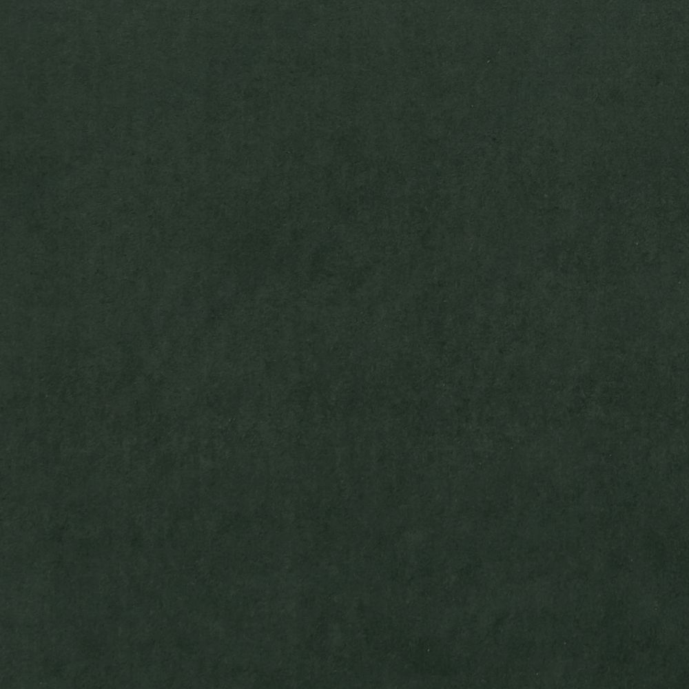 Текстиль Clarke & Clarke Alvar 2 F0753/65