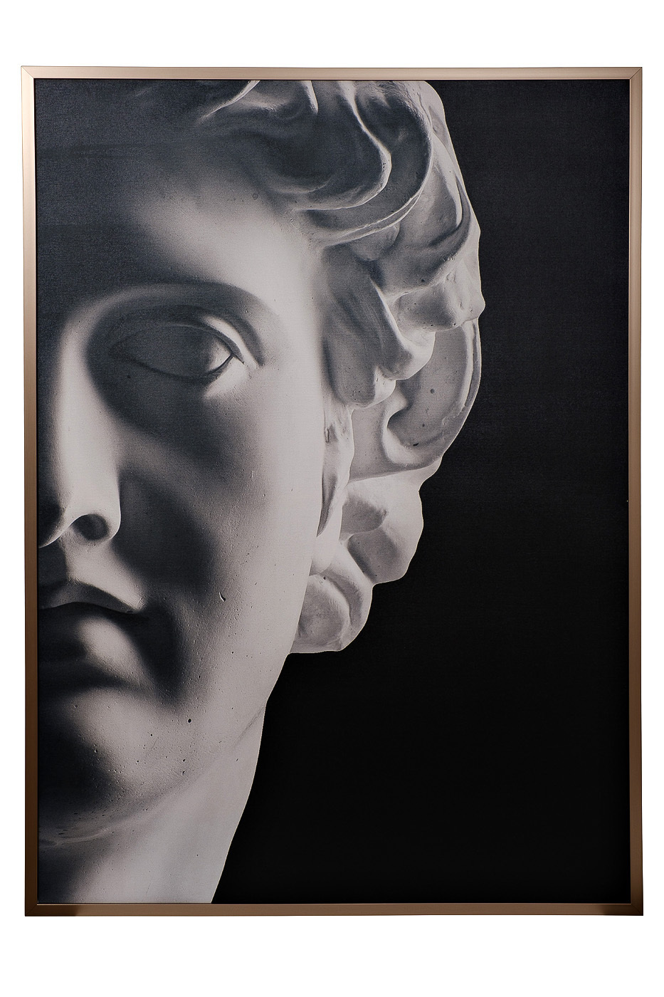 Холст "Аполлон-1" в багете латунь Garda Decor 89VOR-APPOLON/1