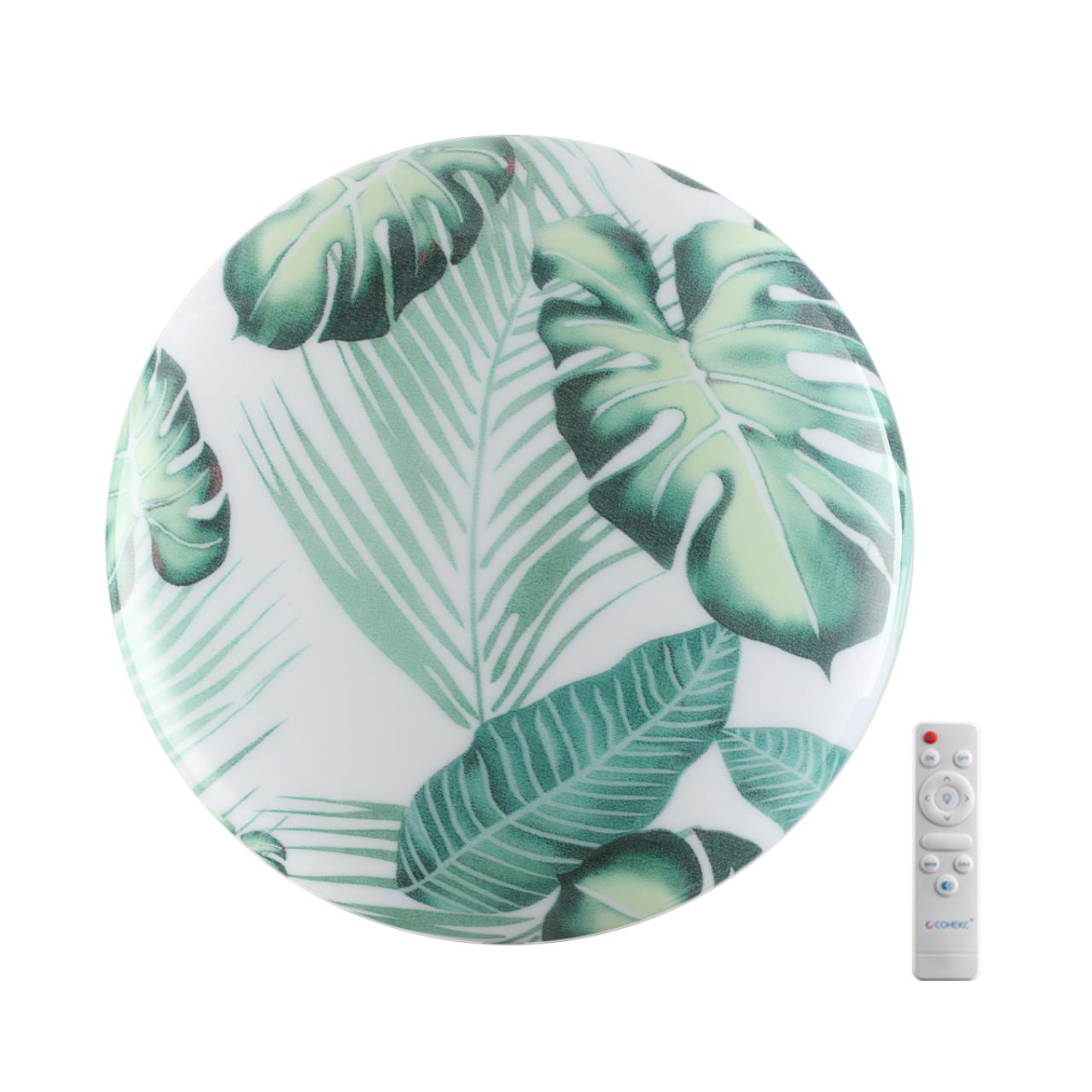 Настенно-потолочный светильник Sonex 7748/DL