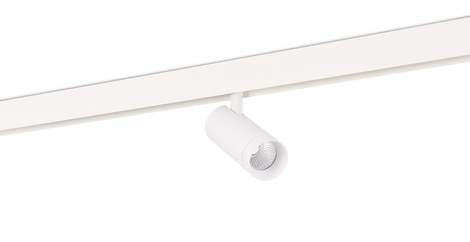 Светодиодный светильник Donolux DL20295TW20WTuya