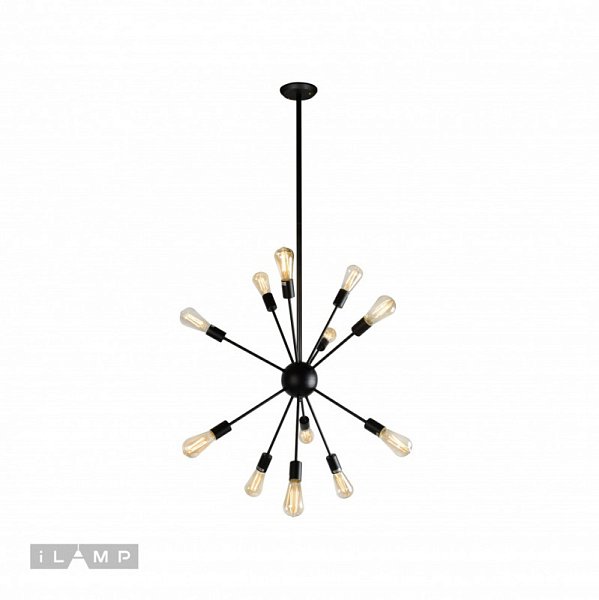 Подвесная люстра iLamp Loft209-12B