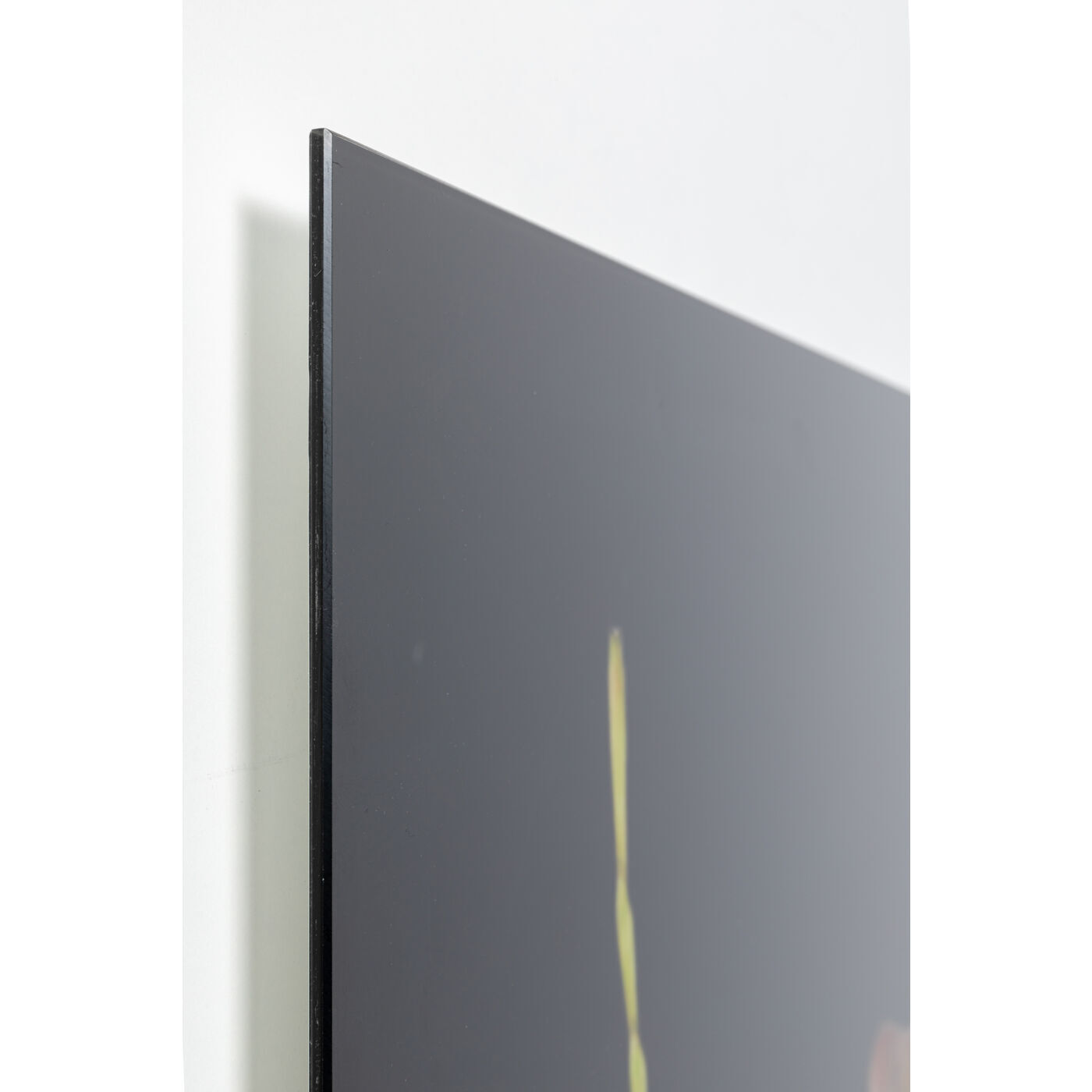 Картина Beetle 53592 Kare