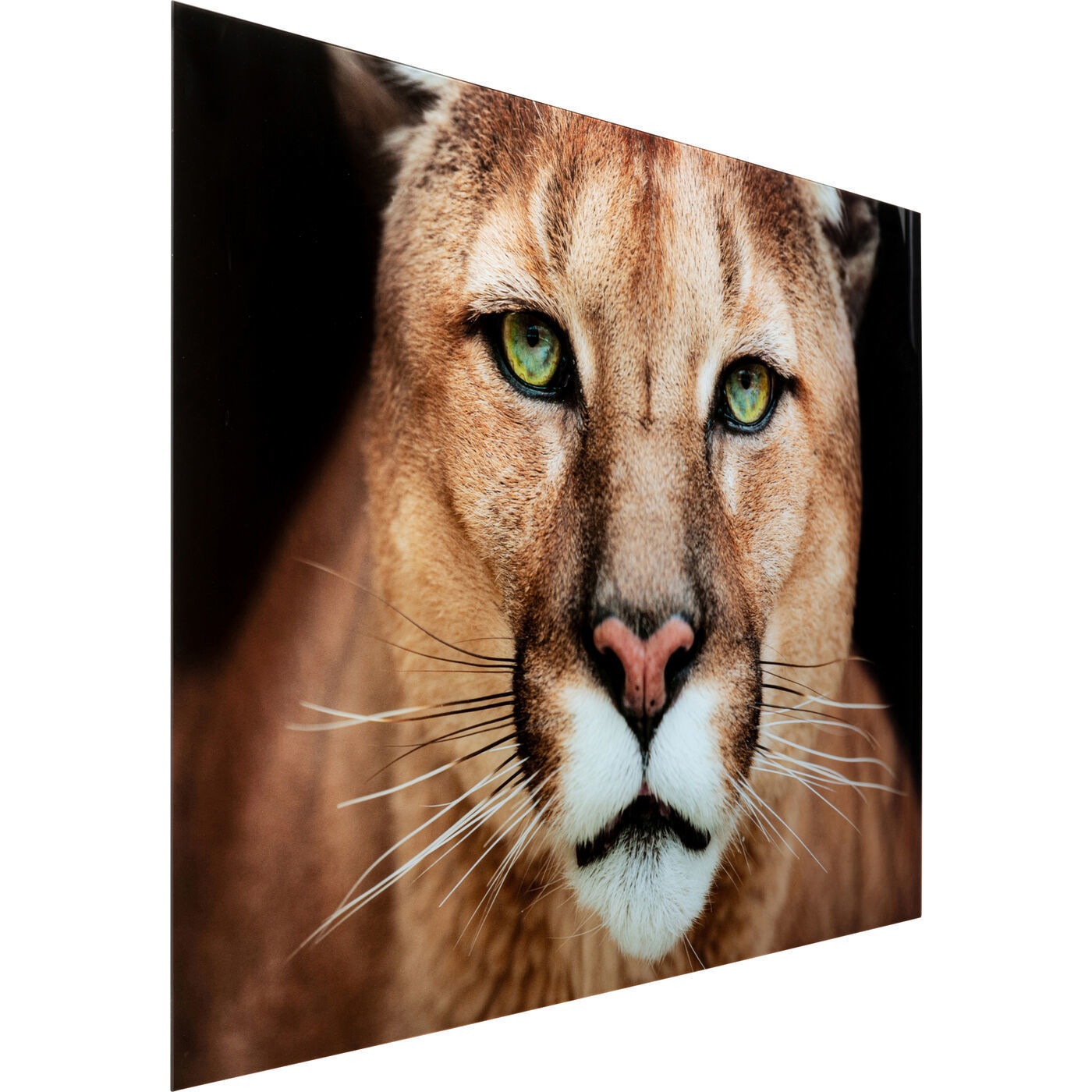 Картина Lioness 53598 Kare