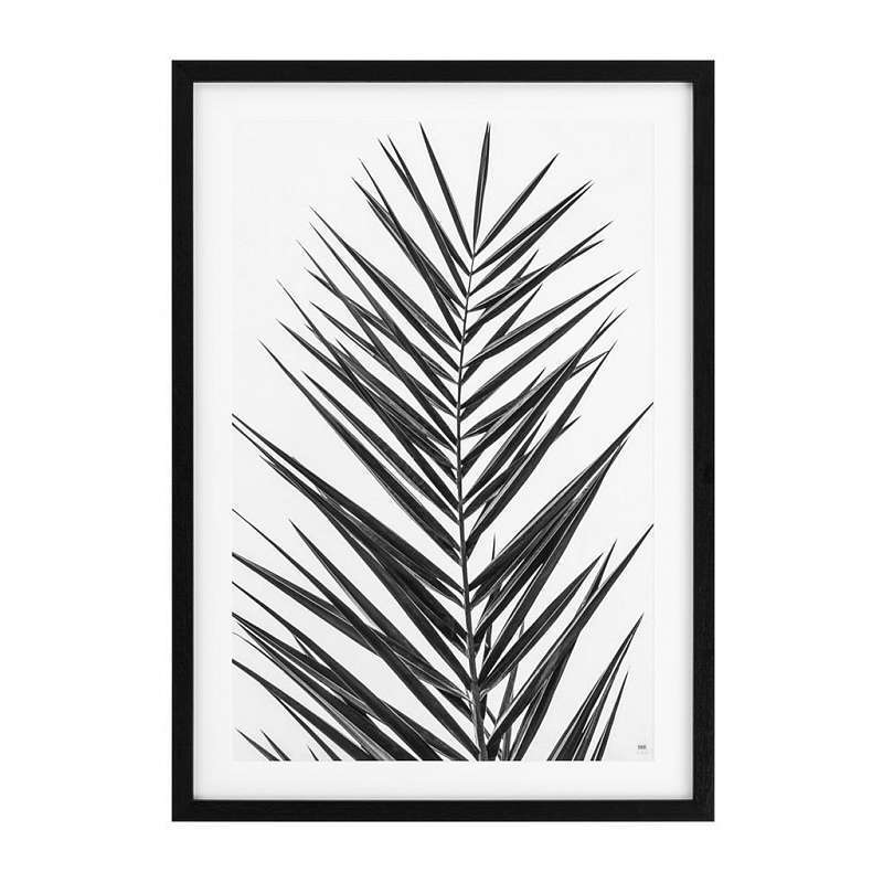 Постер Eichholtz Prints Palm Leaves 112195
