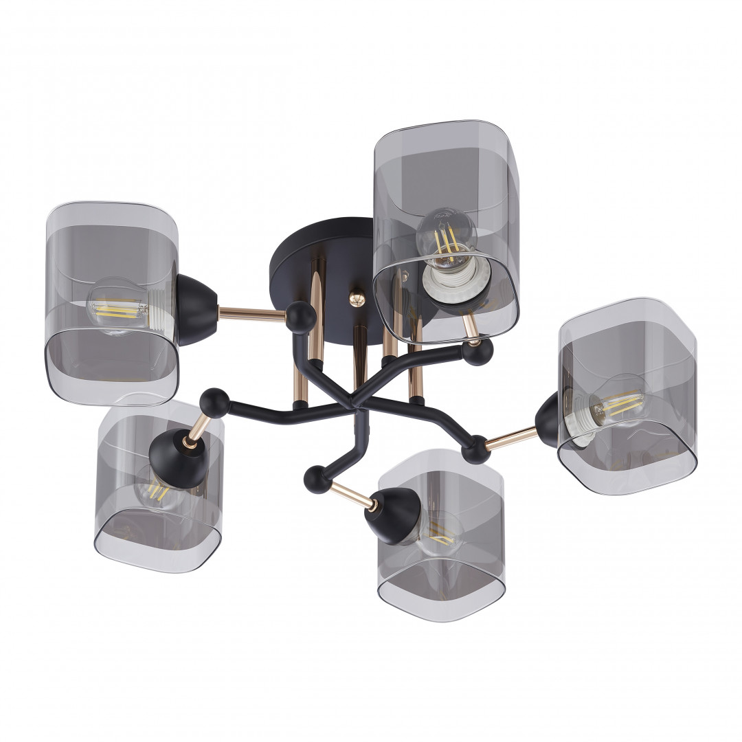 Люстра с плафонами 324308/5 BK+FG Arte Milano