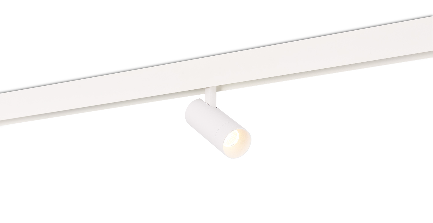 Светодиодный светильник Donolux DL20295TW10WTuya