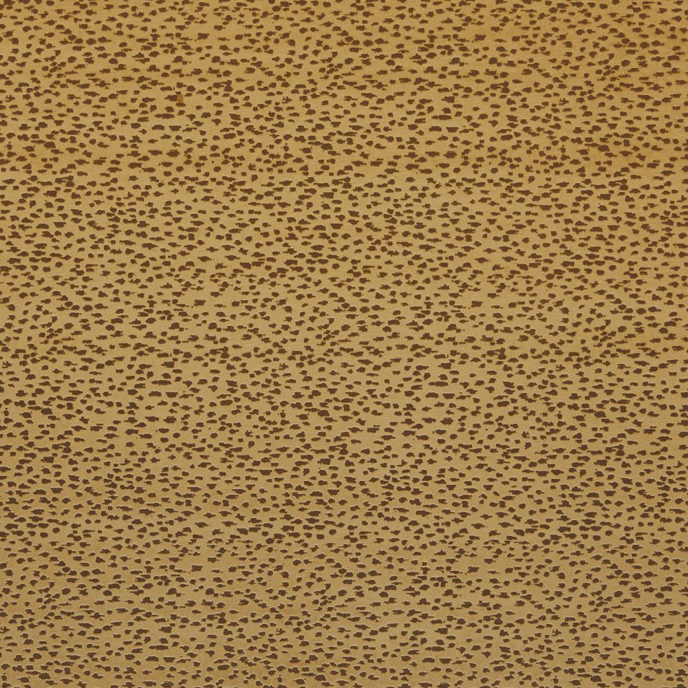 Текстиль Clarke & Clarke Illusion F1564/02