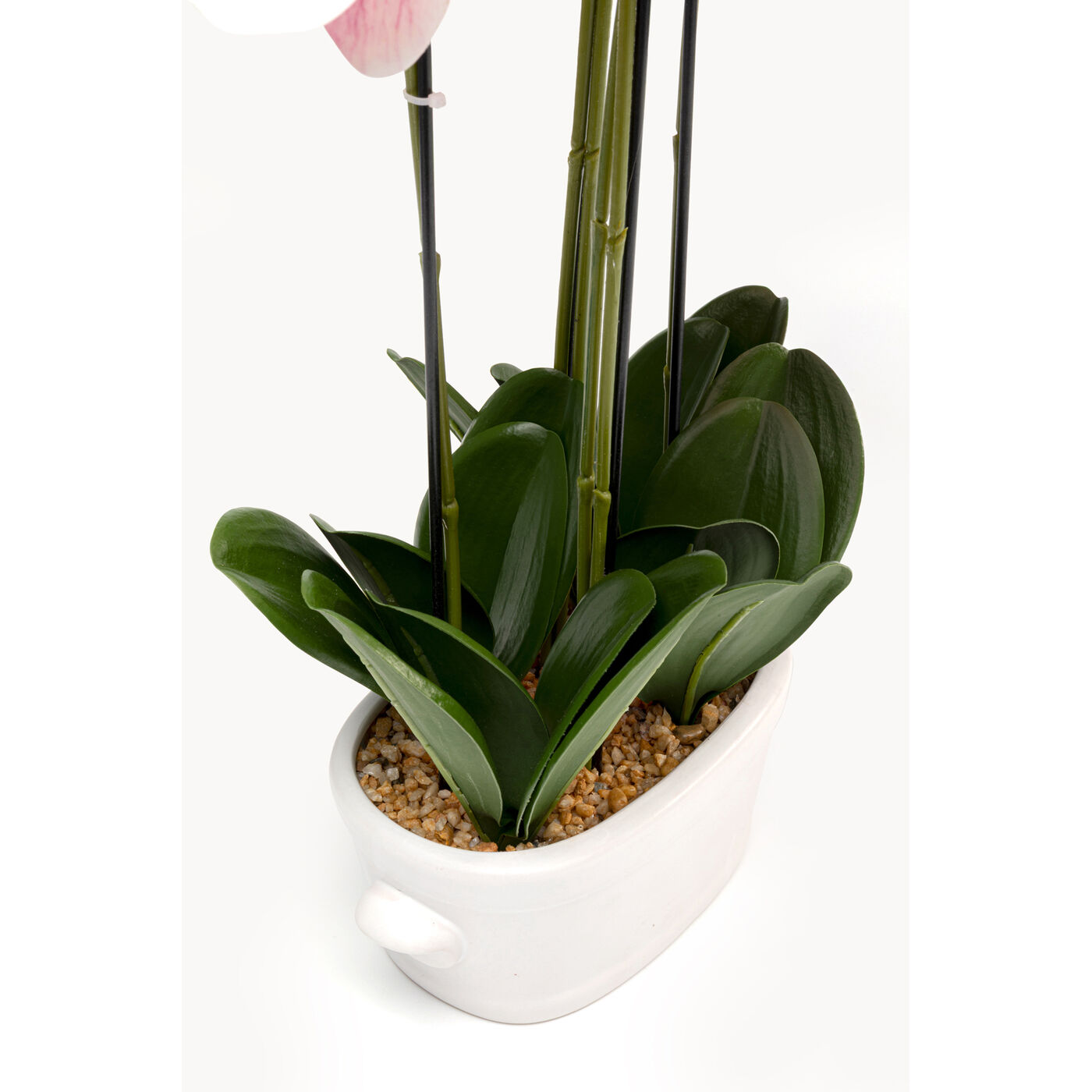 Растение декоративное Orchid Pod 55cm KARE 58350