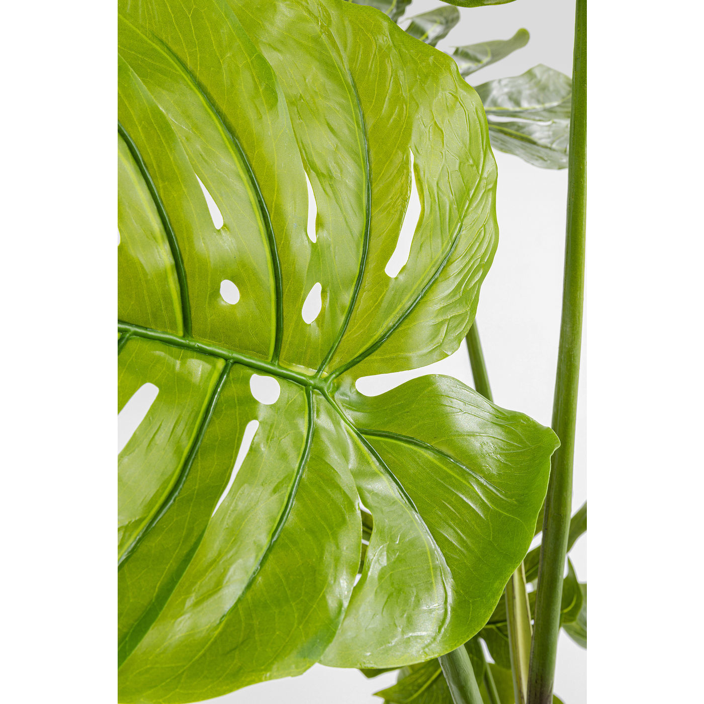 Предмет декоративный Monstera 51683 KARE