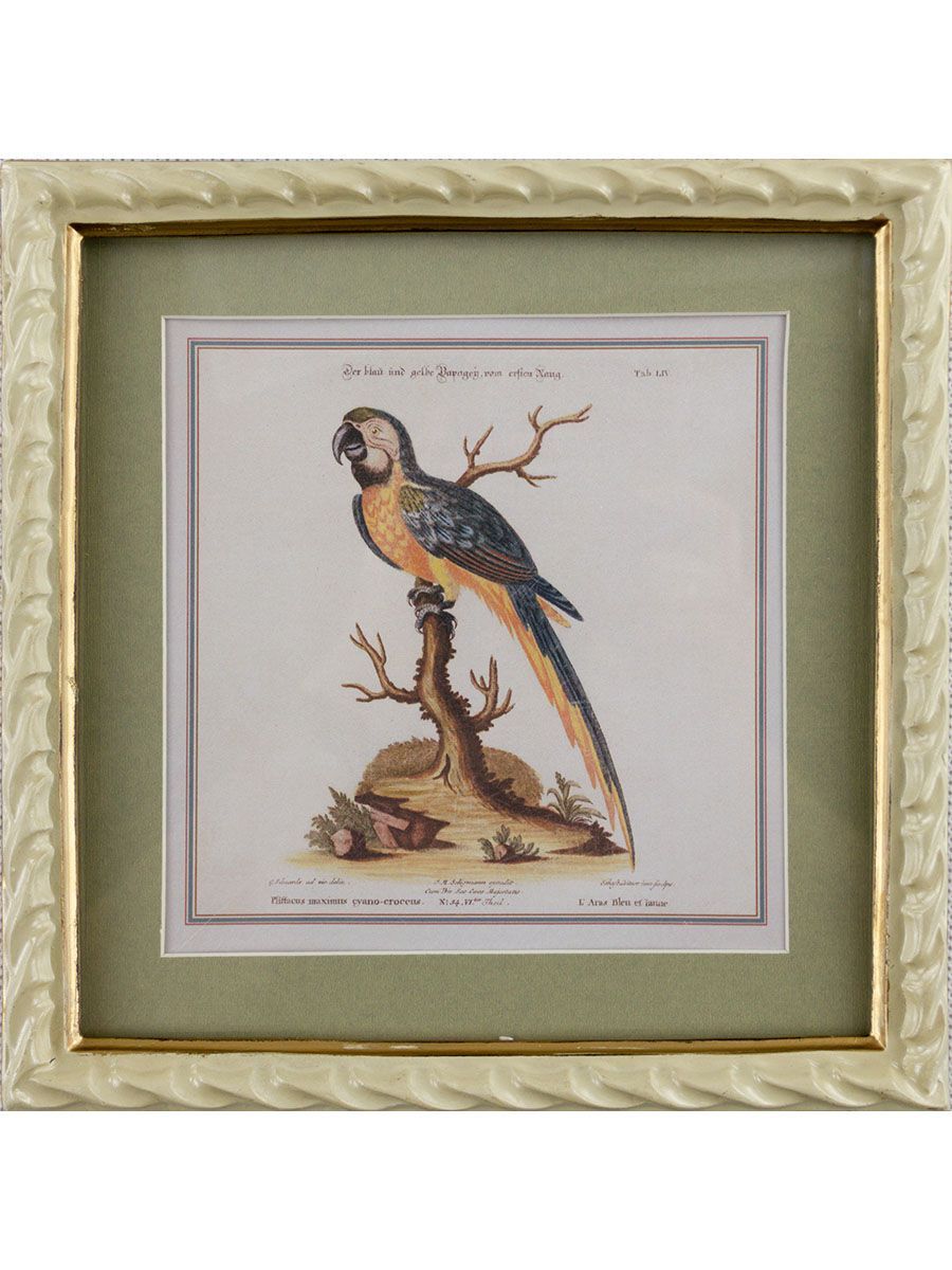 Панно настенное Попугай Glasar 28-142