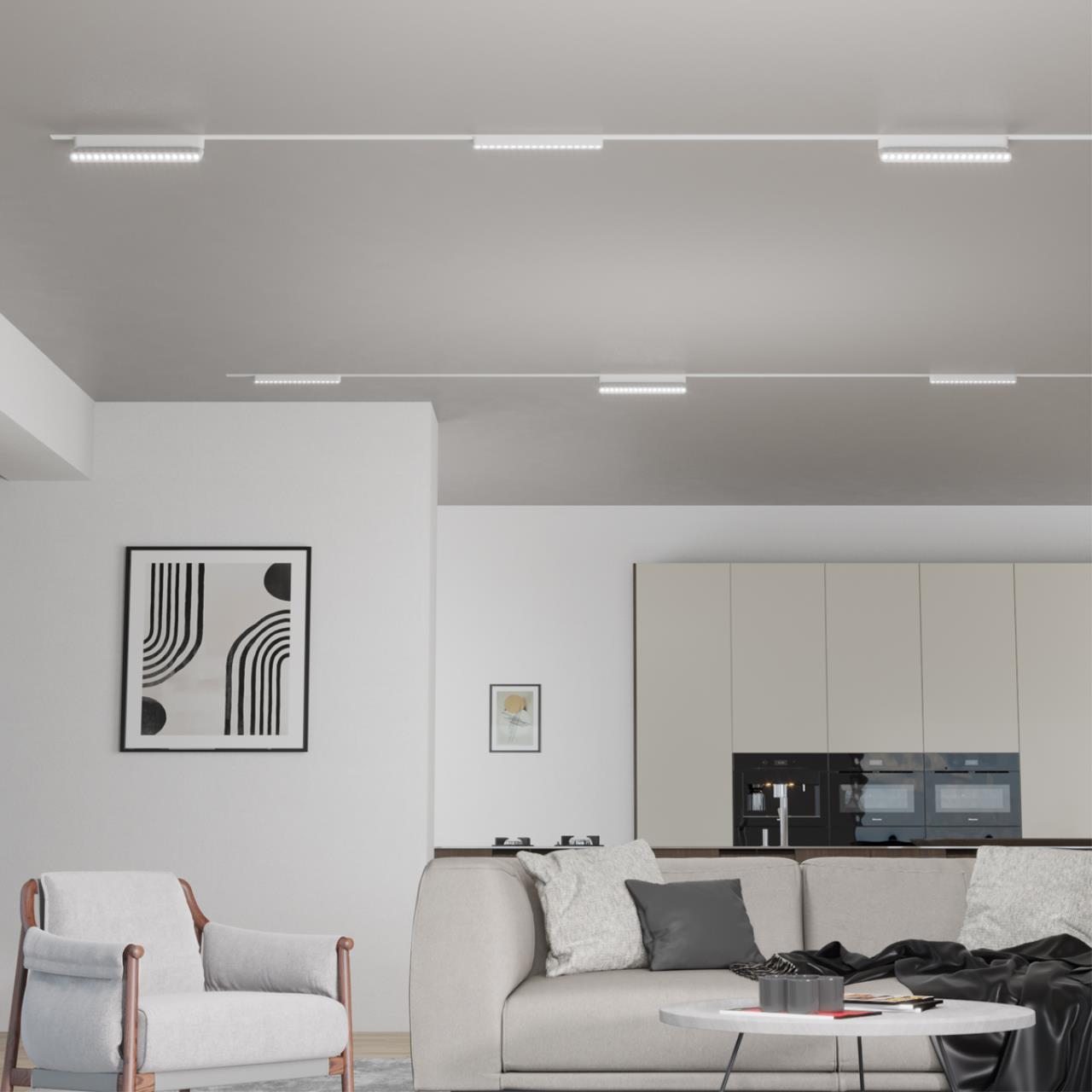 Трековый светильник для низковольтного шинопровода Novotech 359245