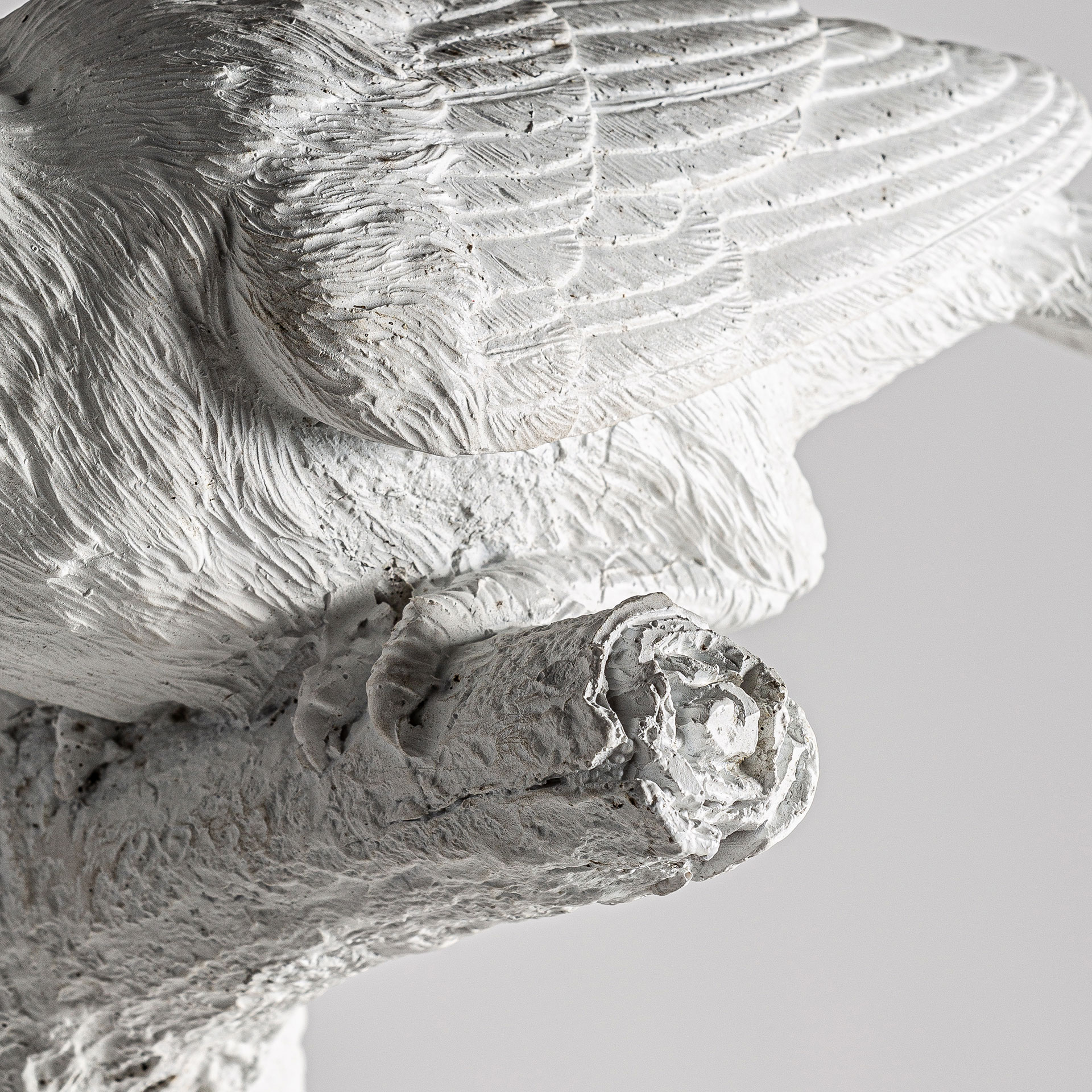 Настенный светильник TUCAN Vical