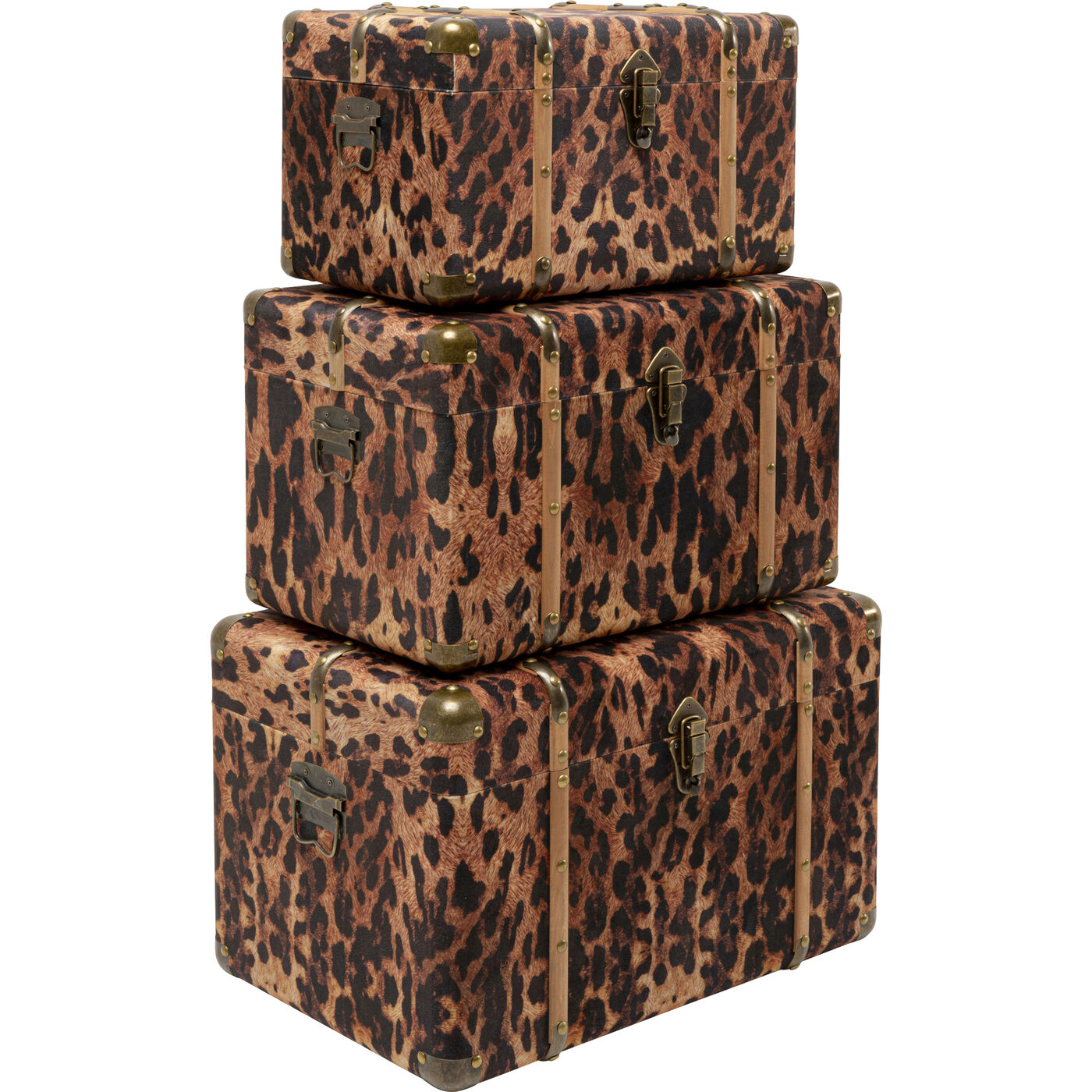 Шкатулка Wild Animal Leo (3/Set) KARE 71236