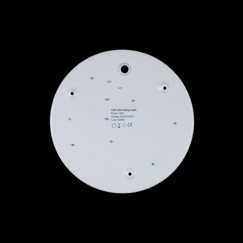 Накладной светильник LOFT IT 10002/12 White